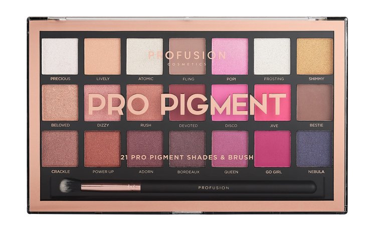 profusion pro pigment 21 shade eyeshadow palette